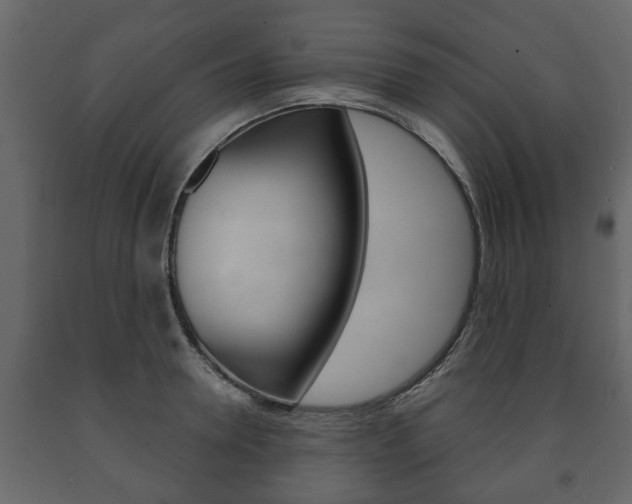 X0000091700946200708240930