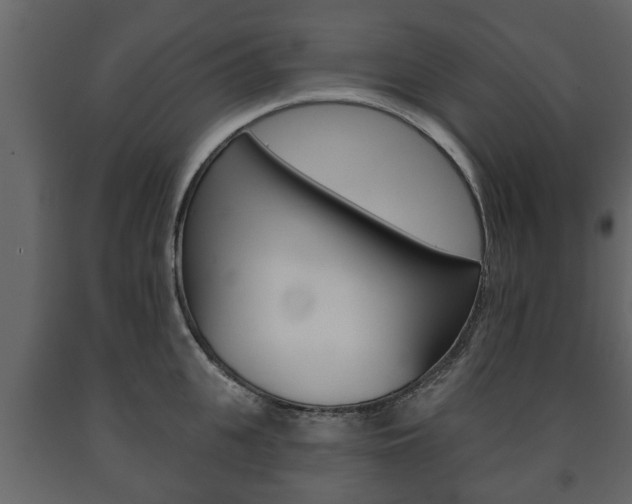 X0000091700951200708240930