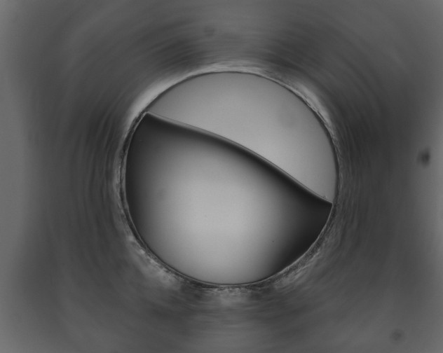 X0000091700952200708240930