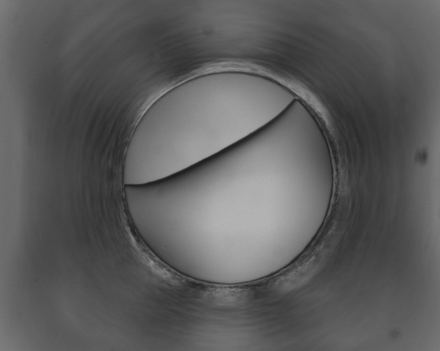 X0000091700953200708240930