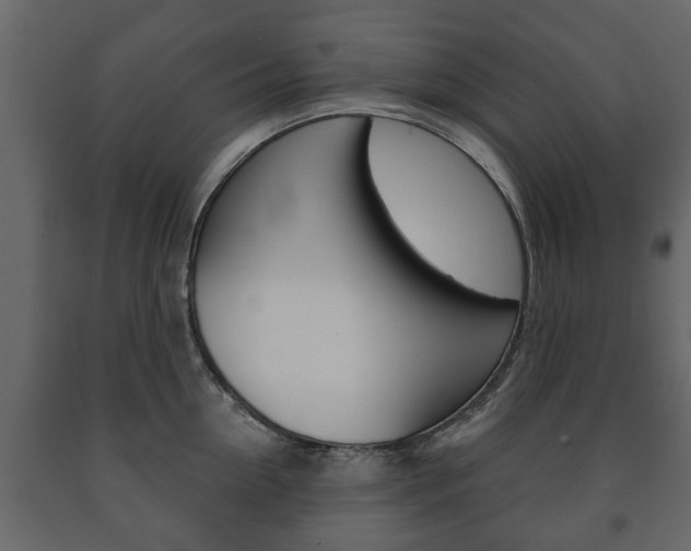 X0000091700954200708240930
