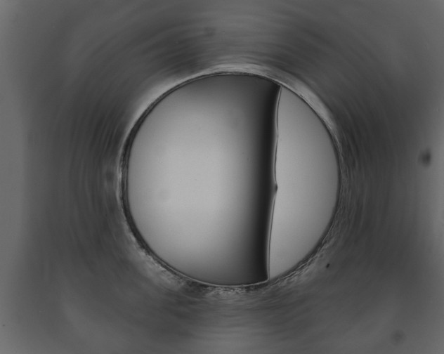X0000091700955200708240930