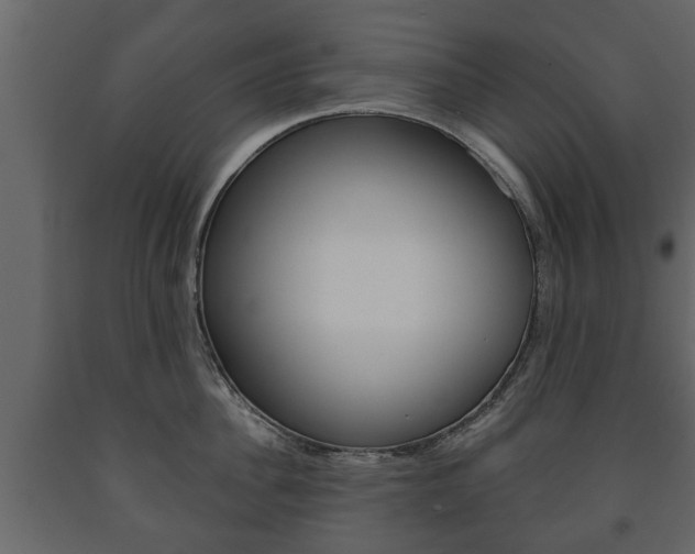 X0000091700956200708240930