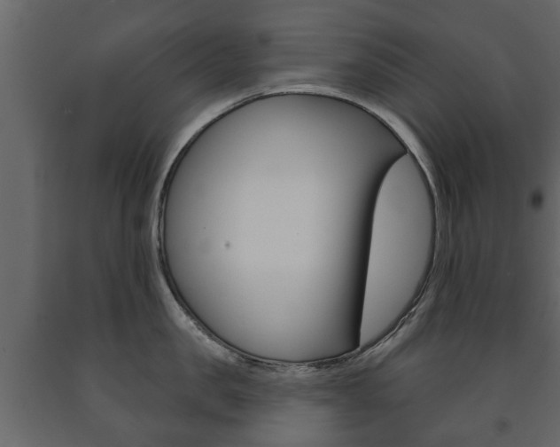 X0000091700957200708240930
