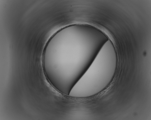 X0000091700958200708240930