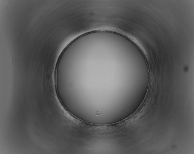 X0000091700959200708240930