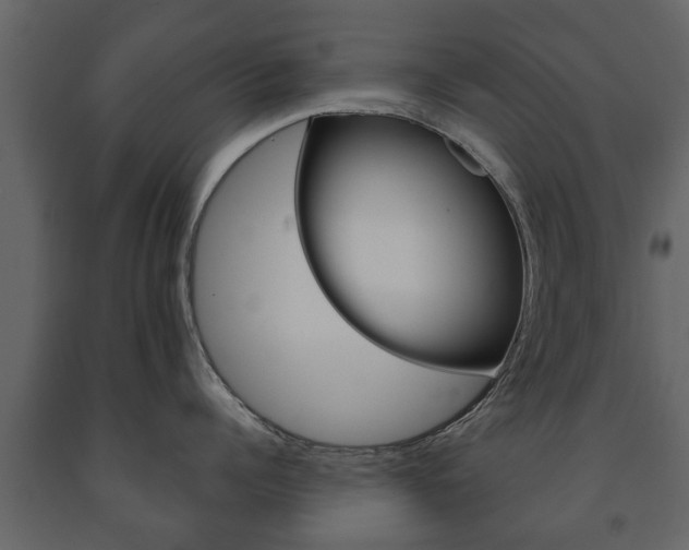 X0000091700960200708240930