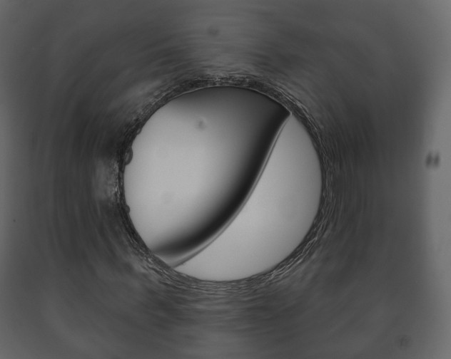 X0000091700963200708240930