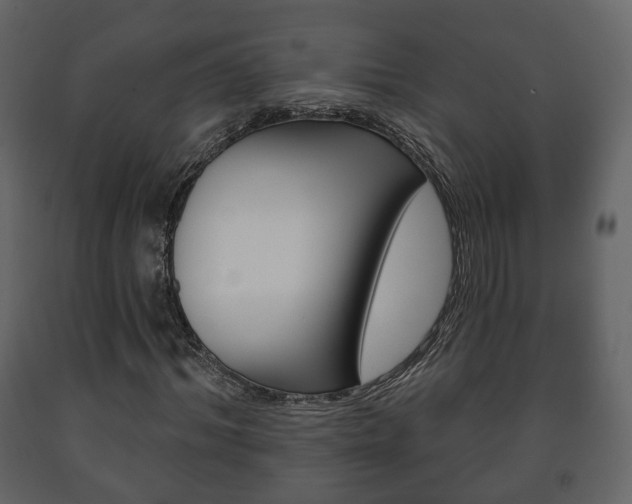 X0000091700964200708240930