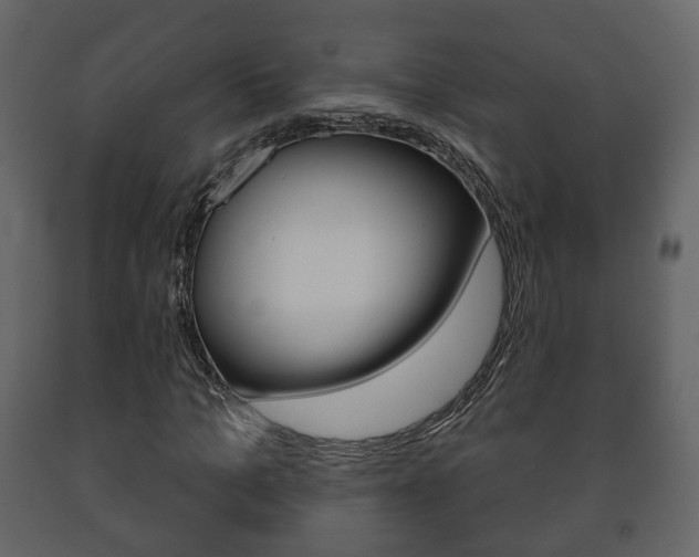 X0000091700965200708240930