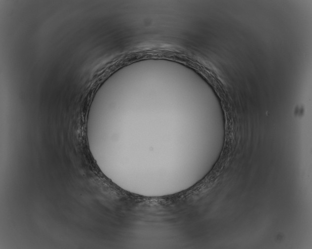 X0000091700966200708240930