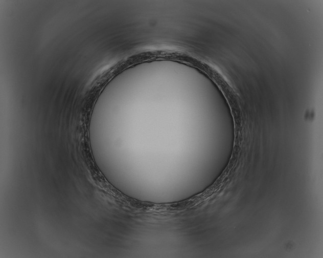 X0000091700967200708240930