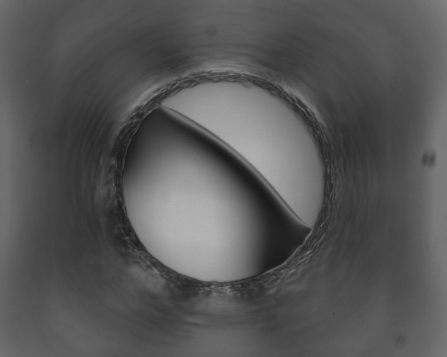 X0000091700968200708240930