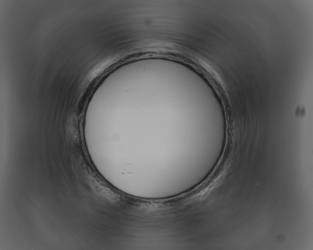 X0000091700970200708240929