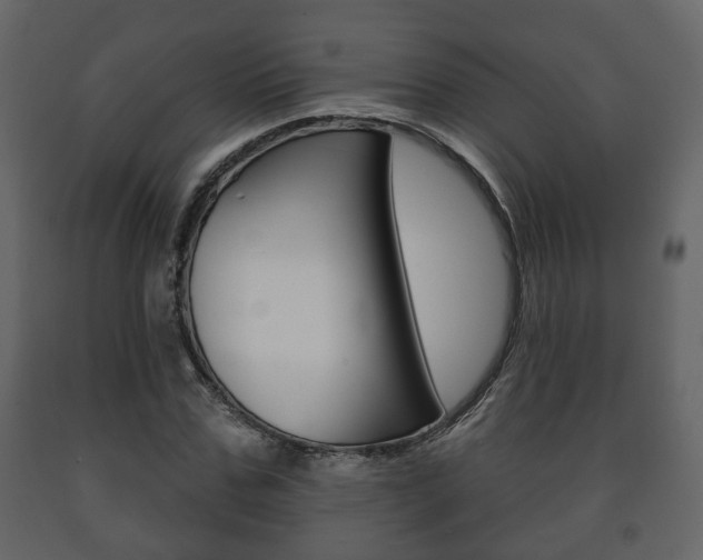 X0000091700971200708240929
