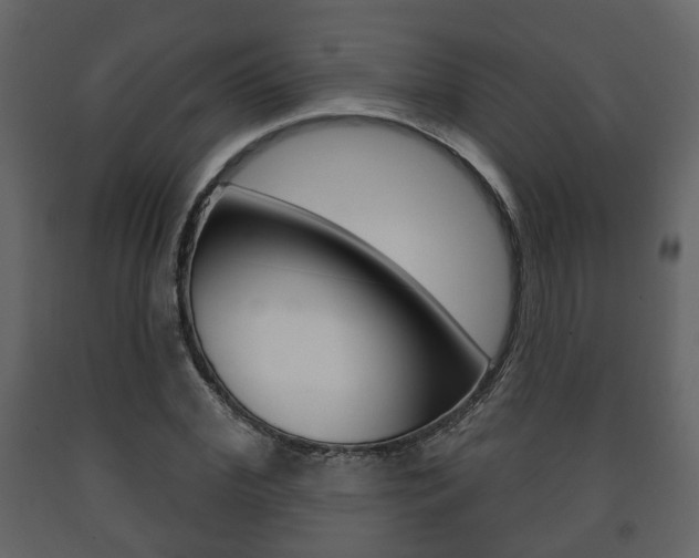 X0000091700972200708240929
