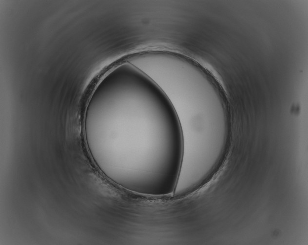 X0000091700973200708240929