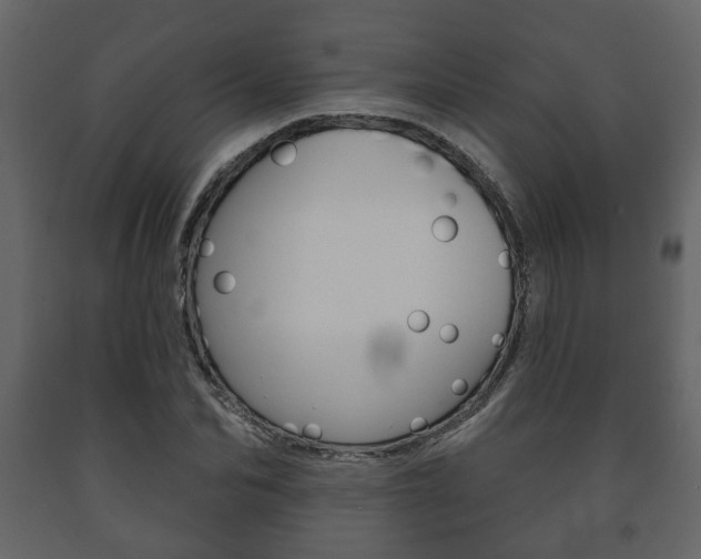 X0000091700974200708240929