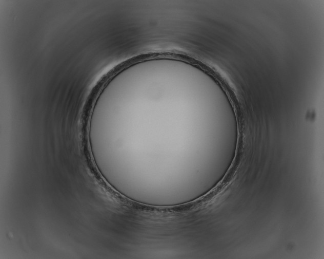 X0000091700975200708240929