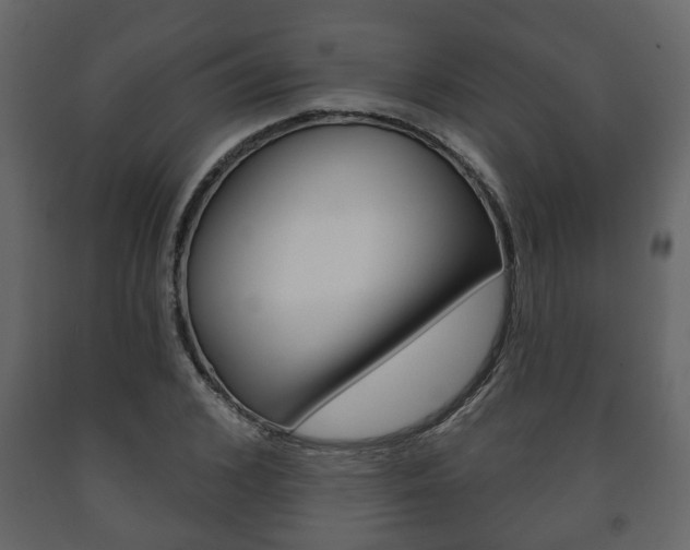 X0000091700976200708240929