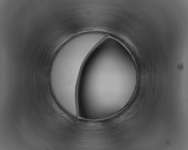 X0000091700977200708240929