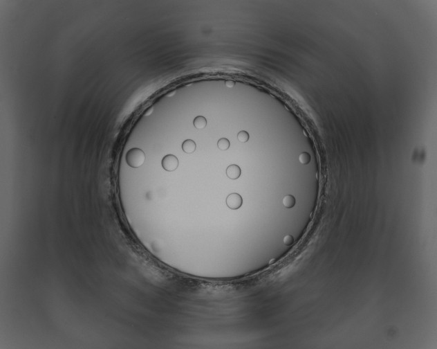 X0000091700978200708240929