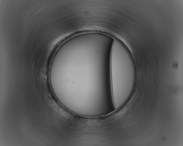 X0000091700979200708240929