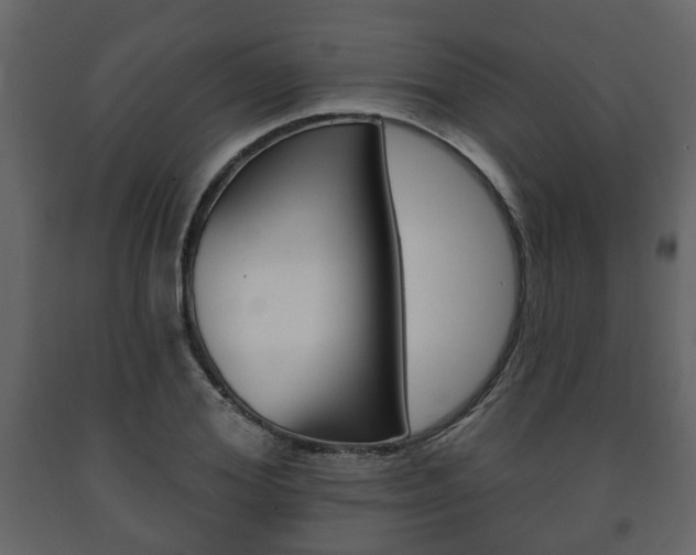 X0000091700980200708240929
