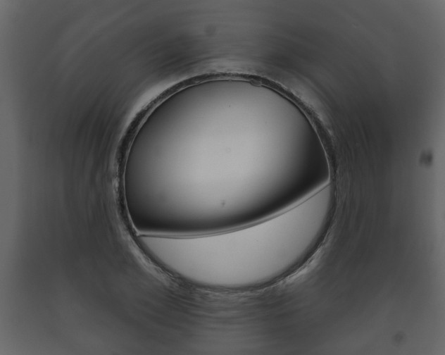 X0000091700981200708240929
