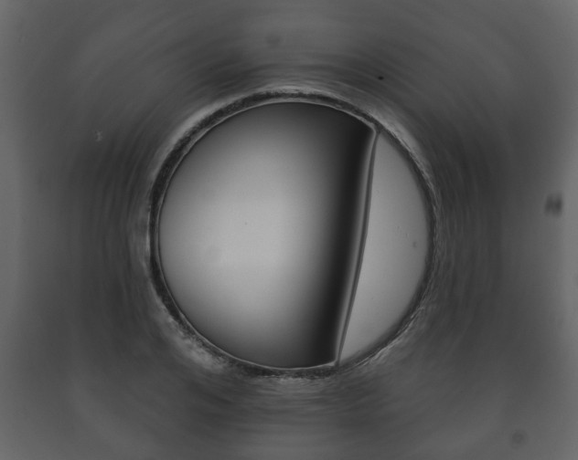 X0000091700984200708240929