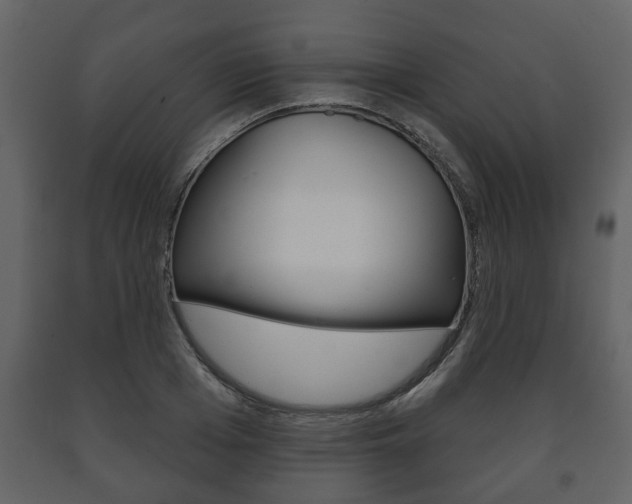X0000091700985200708240929