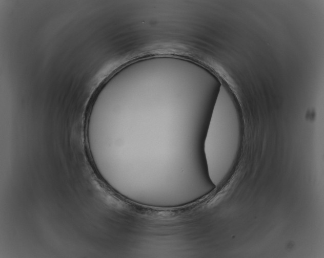 X0000091700986200708240929