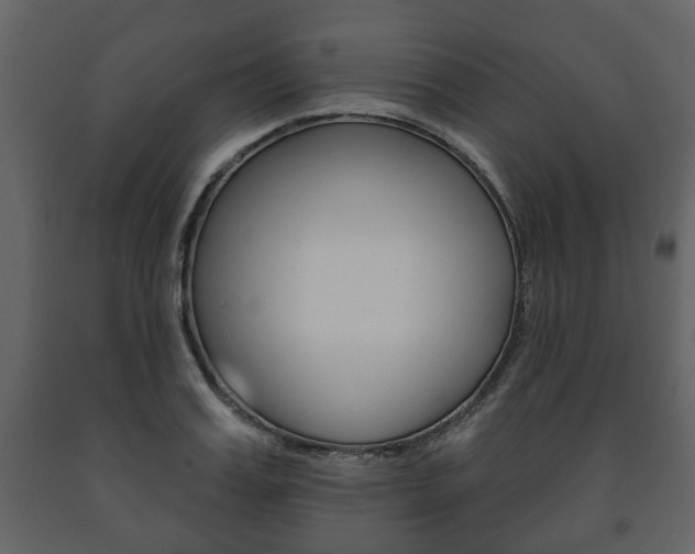 X0000091700987200708240929