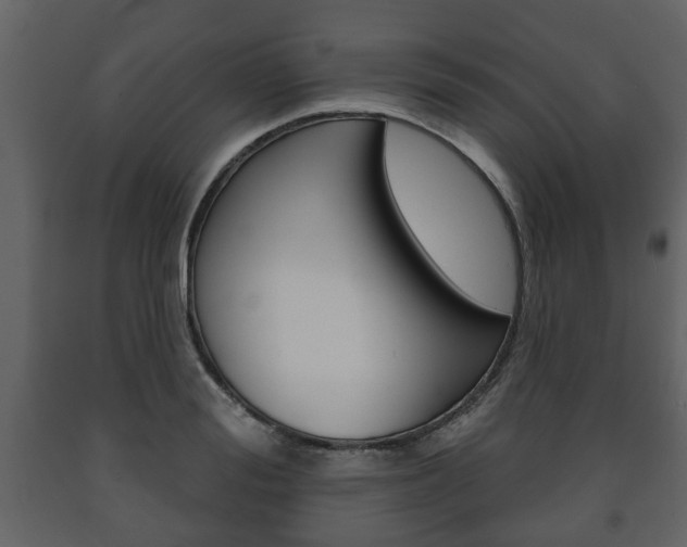 X0000091700988200708240929