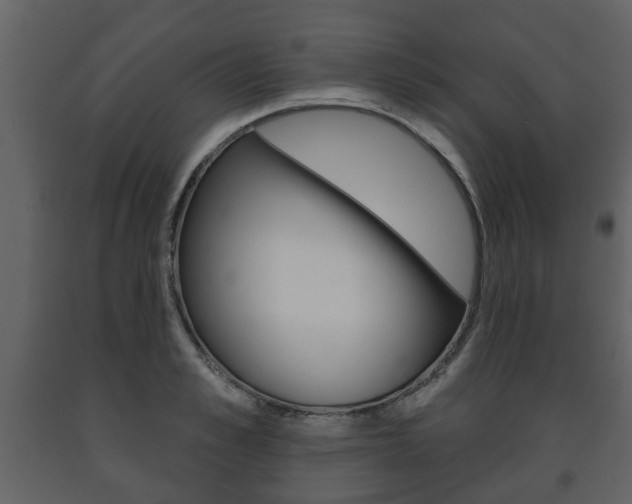 X0000091700989200708240929