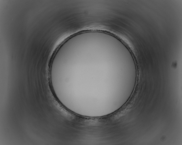 X0000091700990200708240929