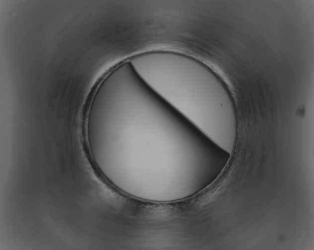 X0000091700991200708240929