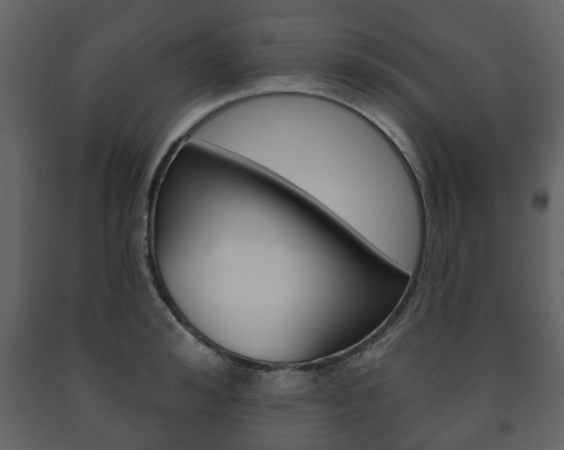 X0000091700992200708240929