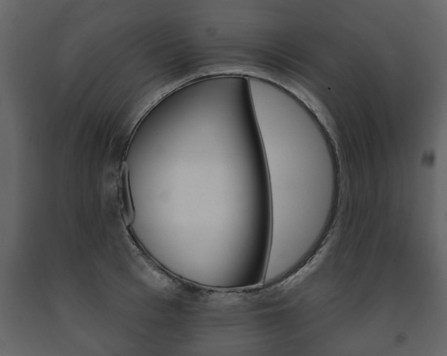 X0000091700993200708240929