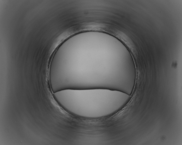 X0000091700994200708240929