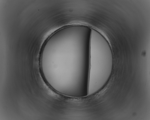 X0000091700995200708240929