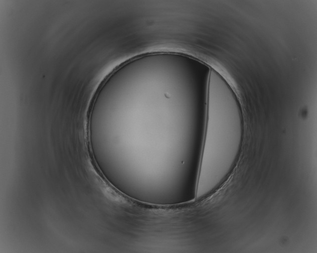 X0000091700996200708240929