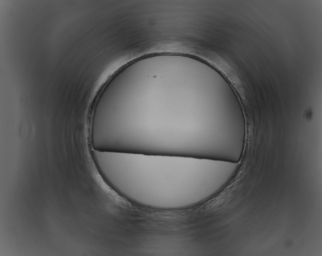 X0000091700998200708240929