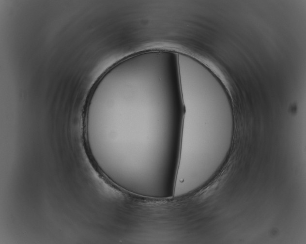 X0000091700999200708240929