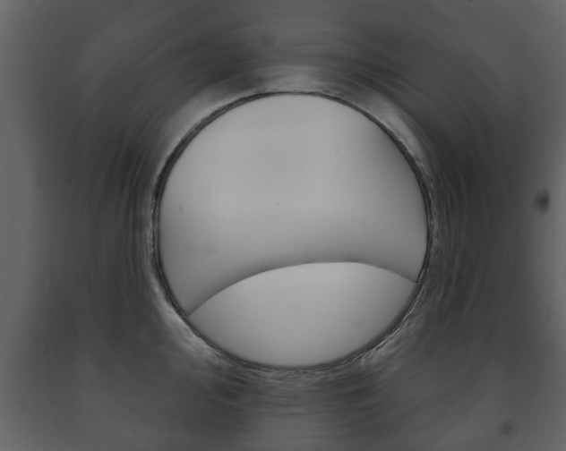 X0000091701000200708240929