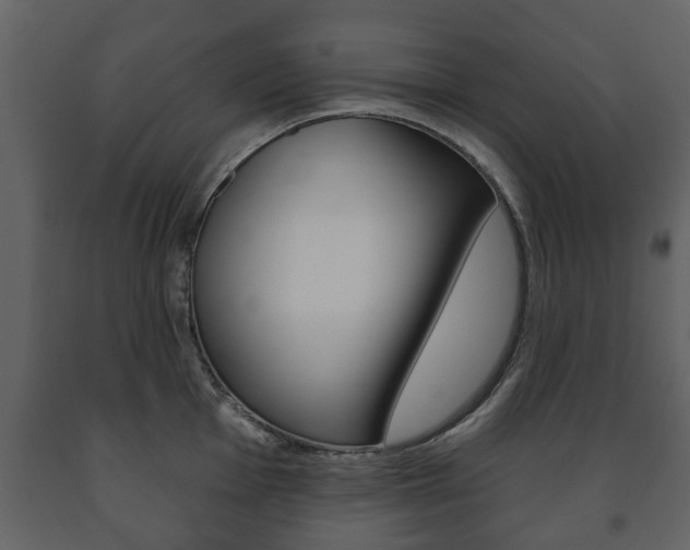 X0000091701001200708240929