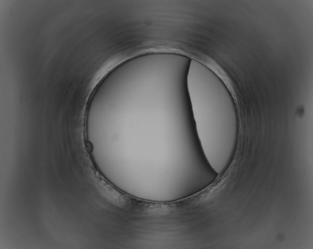 X0000091701002200708240929