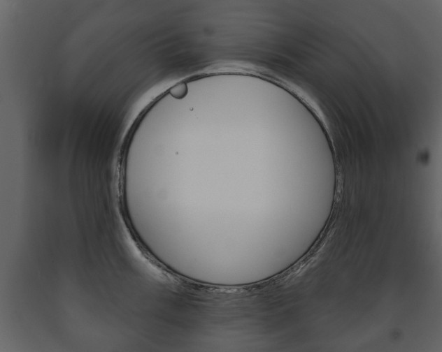 X0000091701003200708240929
