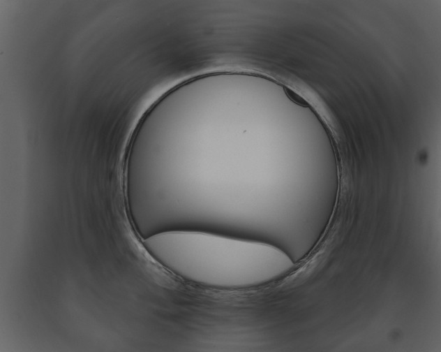 X0000091701004200708240929