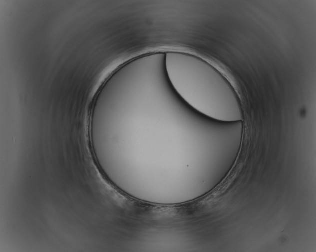 X0000091701006200708240929